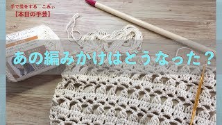 あの編みかけはどうなった？【本日の手芸】today's handicraft