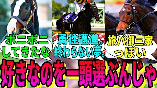 【競馬の反応集】「ここに3頭の競走馬がおるじゃろ？」に対する視聴者の反応集