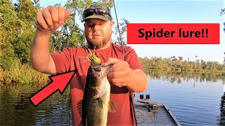 Lunker Hunt SPIDER lure!! It works...Kind of. Gator tail extreme GTR40XD