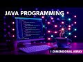 One-dimensional array - JAVA PROGRAMMING - Ravonite