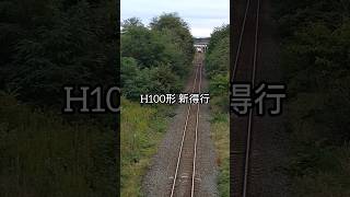 H100形 デクモ新得行 #shorts #jr北海道 #鉄道 #train #十勝清水