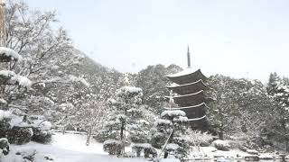 冠雪・国宝瑠璃光寺五重塔