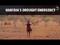 Namibia's Drought Emergency