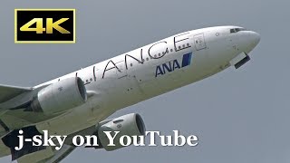 [4K] Blue sky in summer!  ANA Boeing 777-281 [JA711A] at Osaka Itami Airport / 伊丹空港 全日空