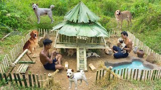 Rescue Abandoned Puppies Building Bamboo House And Swimming Pool For Dog