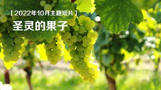 【2022年10月主题短片】圣灵的果子