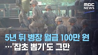 5년 뒤 병장 월급 100만 원…'잡초 뽑기'도 그만 (2020.08.10/뉴스데스크/MBC)