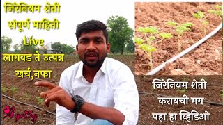 !! Geranium Farming !!जिरेनियम शेती म्हणजे काय? लागवड ते उत्पन्न संपूर्ण मार्गदर्शन !! #geranium