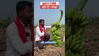 రైతుబడి అగ్రి షో మన అనంతపురం లో #rythubadi #farming