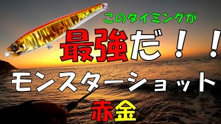 遠州灘サーフ　サーフ釣り　モンスターショット　変態面白おじさんと遭遇しました。衝撃映像となっております。閲覧注意。