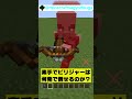 素手でピリジャーは何発で倒せるのか？ minecraft shorts