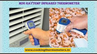 Mini RayTemp infrared thermometer