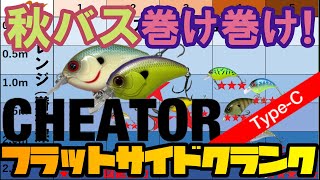 【バス釣り】秋のクランクはこれを巻け！中層を制す者がバスを制す！ミブロ/チータータイプC！フラットサイドクランクで秋バスを狙え。