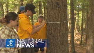 Indigenous knowledge and western science come together at STEM camp | APTN News