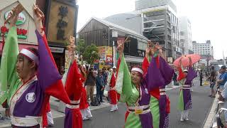 バサラ祭り 2019 豊夢 下三条パレード①