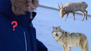 Рыбалка на озере Кокай / Коргалжынский природный заповедник / Қорғалжын табиғи қорығы