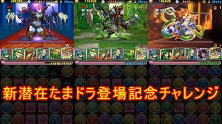 【パズドラ】新潜在たまドラ登場記念チャレンジｖｓスカアハミキフレチーム【自前ガチャ限なし】