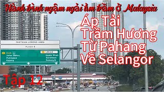 Hành trình vận chuyển trầm hương từ Pahang về Selangor ở Malaysia.