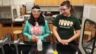 Lab 1:  Common Lab Techniques and Density