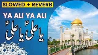 Ya Ali Ya Ali  (Slowed X Reverb) lofi mix | Rahat Fateh Ali Khan | Ziyarat-e-Karbala ❤️