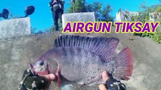 AIRGUN TIKSAY FISHING HUNTING  MAMAW NA TILAPIA  GANDANG SPOT DITO MGA IDOL