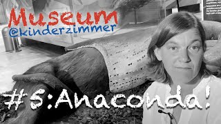 Anaconda - Museum@Kinderzimmer Folge 5