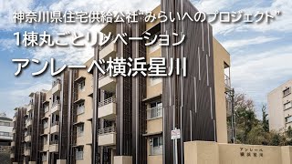 神奈川県住宅供給公社“みらいへのプロジェクト”１棟丸ごとリノベーション「アンレーベ横浜星川」