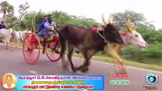 மீமிசல் ஆலத்தூர்  பெரியமாடு 10-12-2018-கோபம்வேண்டாம்  நண்பர்களே