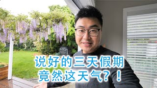 说好的假期出游，竟然遇到了大雨降温（新西兰 Harold Vlog 877）