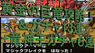 DQMSL 黄金の巨竜討伐＆ガチャ13連+竜神王ガチャ6連