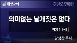 [세광교회-주일오후예배] 의미없는 날개짓은 없다 | 강성찬 목사 | 2025-0126