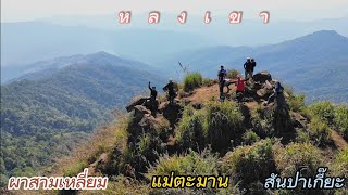 ดอยผาสามเหลี่ยม-สันป่าเกี๊ยะกับเส้นทางสุดฟิน EP.23#สถานีวิจัยเกษตรที่สูงสันป่าเกี๊ยะ#ดอยผาสามเหลี่ยม