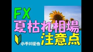 FX 夏枯れ相場の取引の注意点