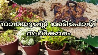 നാത്തൂന്റെ വക അടിപൊളി സല്‍കാരം,rice recipe in malayalam.vlog