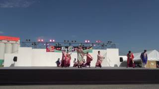 愛知大学よさこいチーム穂乃輪（大口やろ舞い大祭2016）