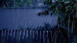 Beat Stress & Goodbye Insomnia in 3 Minutes with Heavy Rain,Thunder Sounds on a Tin Roof at Night #3