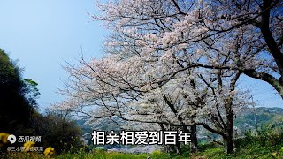 客家山歌：《人生莫忘十種恩》人生在世，需要牢記這十大恩情