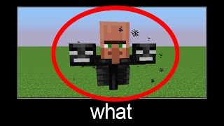 Minecraft wait what meme part 23 (Villager Wither)