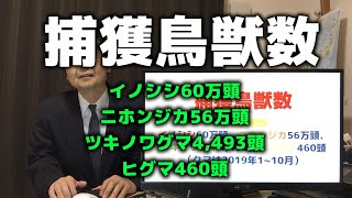 今回は捕獲鳥獣数です。年間イノシシ60万頭、ニホンジカ56万頭。