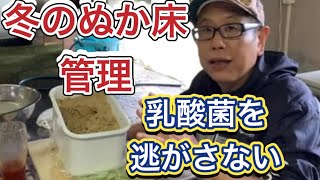 【冬のぬか床管理方法】乳酸菌調整で美味しくぬか漬け