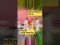 অভিনেত্ৰী দেবাশ্ৰী গগৈৰ বিয়াত বৰমালা পিন্ধাওতে কি হ ল স্বামী কোন হয় ক লৈ বিয়া হৈছে