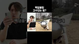 누구나 백덤블링 쉽게 하는 방법?