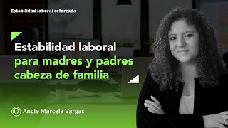 Fuero de estabilidad laboral reforzada para madres y padres cabeza de familia