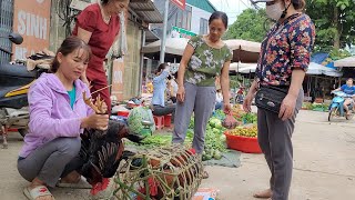 I knit cages, to keep chickens to go to the market to sell.  (Episode 76).