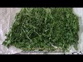 how to sun dry aromatic plants preserving their nutritional value