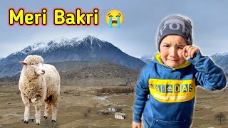 My Bakri Lost in The Mountains 😭 Shirazi Village Vlogs