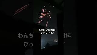 【バリ島】大晦日から新年はいつもこれ #大晦日 #カウントダウン  #バリ島  #花火  #新年  #balilife #703bali #shorts