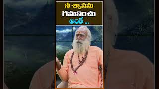 నీ శ్వాసను గమనించు అంతే  | 108 Years Baba, Sadananda Giri Maharaj, Patriji