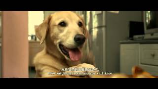 我的狗蚪蚪 MY DOG DOU DOU 前導預告