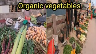 Organic Vegetables Market At Abhoynagar , In Tripura 2024